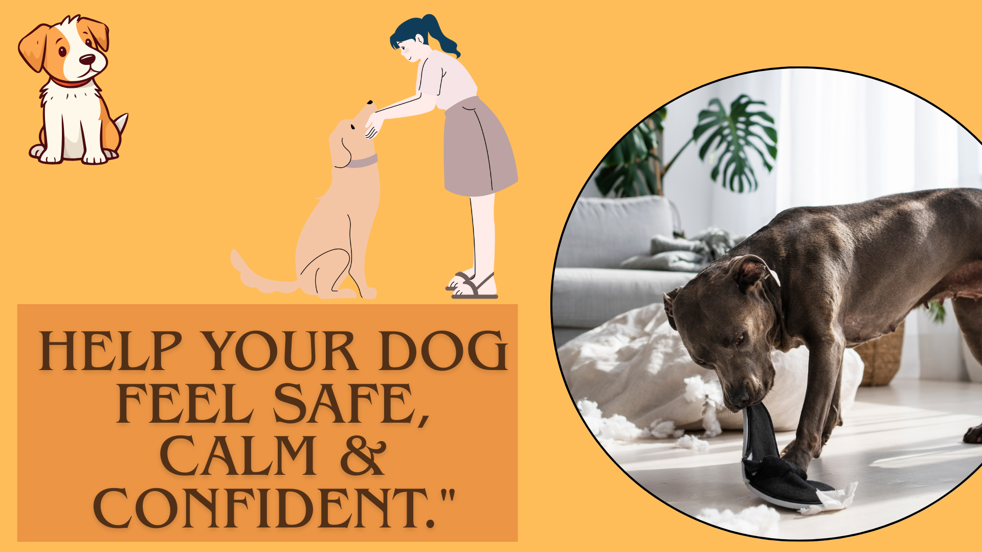 dog taining in austraila