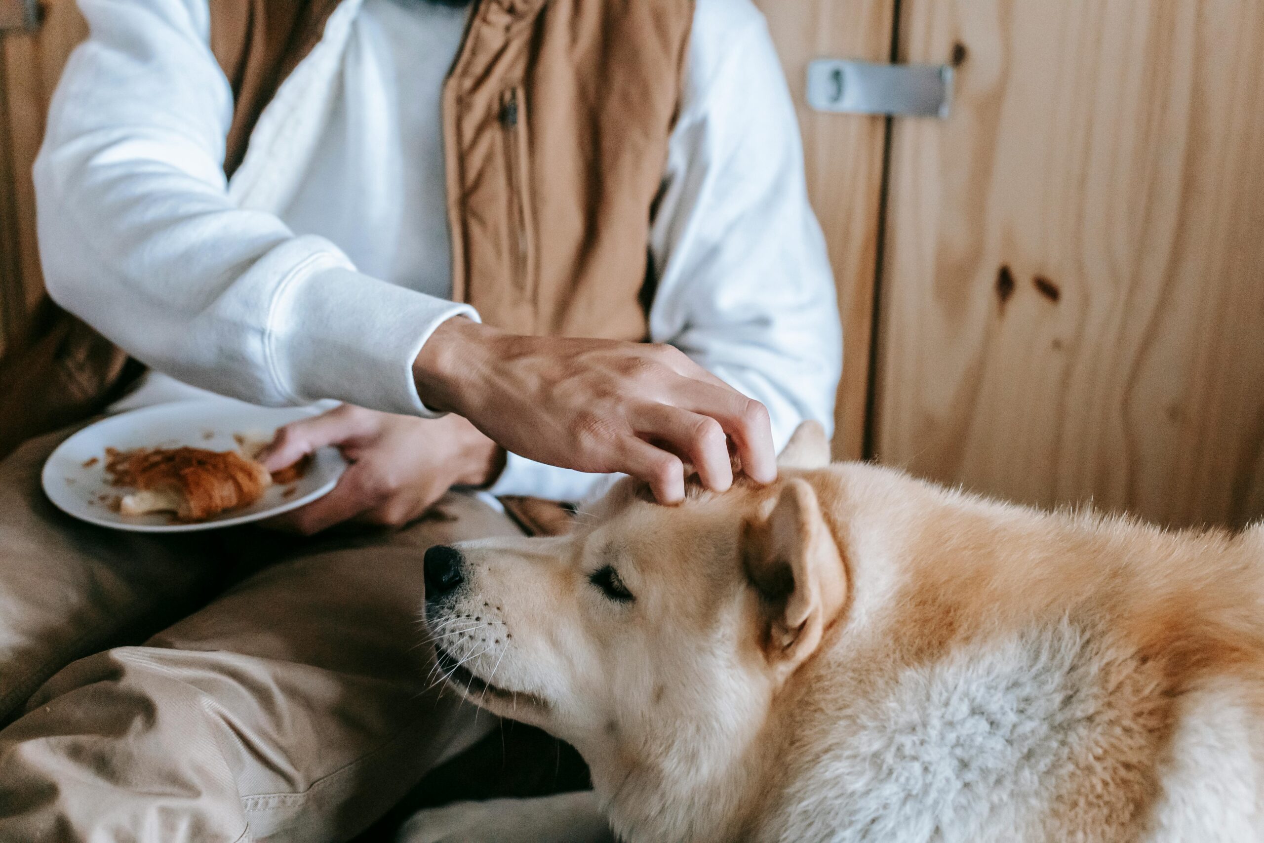 Can Dogs Eat Nuts? A Complete Guide